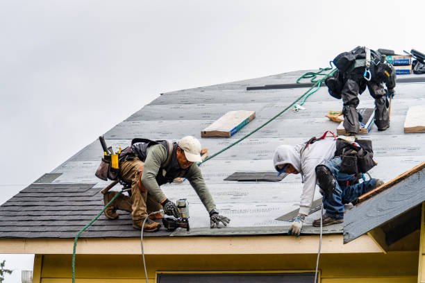Professional Roofing technician working in Bay City, TX
